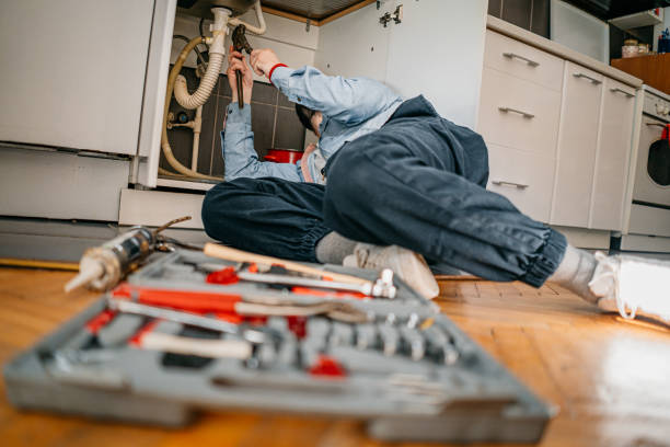 Best Sewer Line Repair  in Louisiana, MO