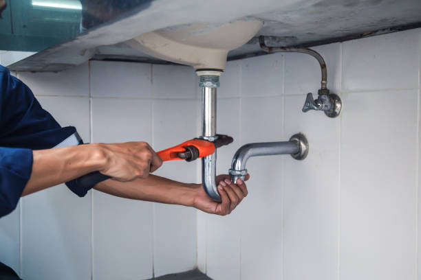 Best Local Plumber Services  in Louisiana, MO